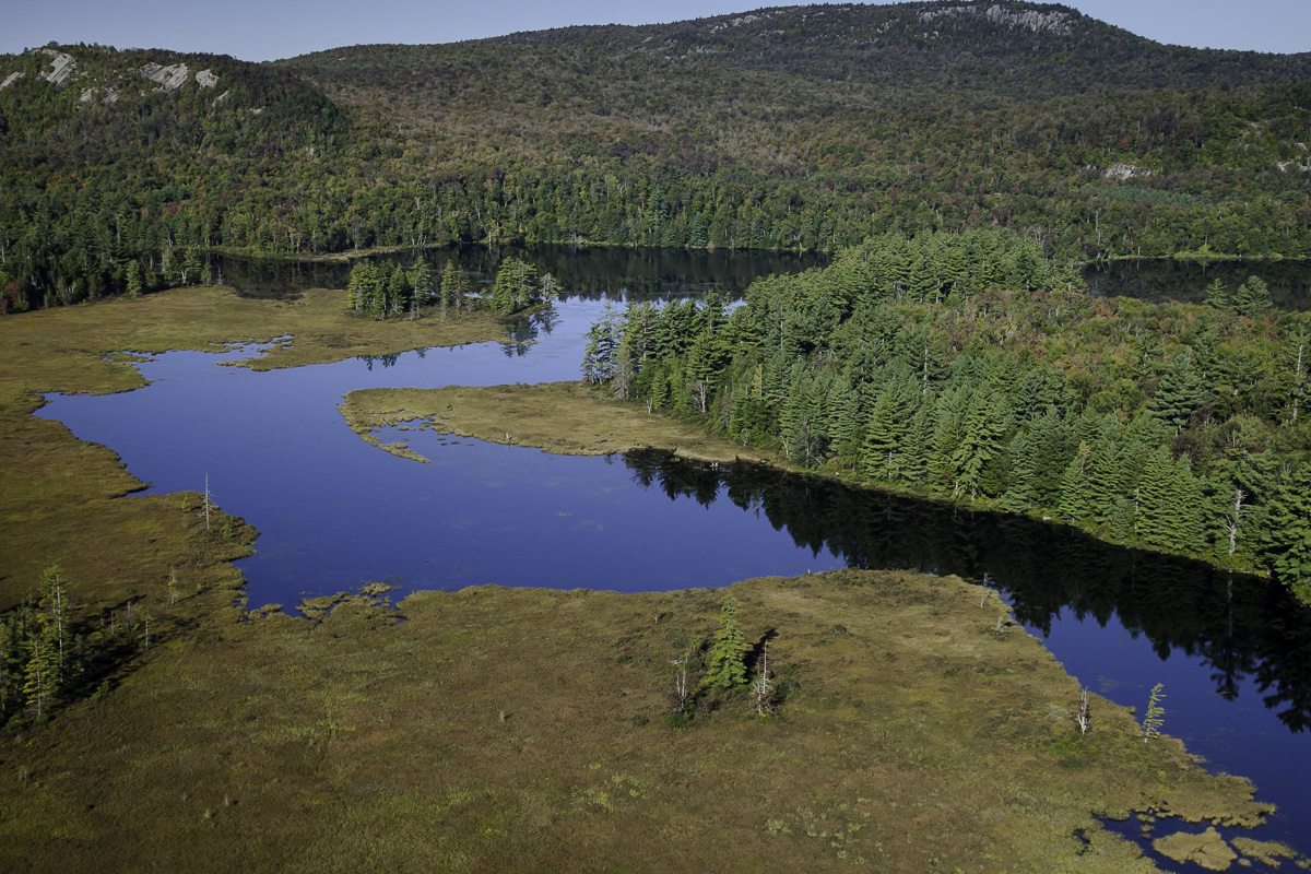 Hitchen Pond Bog, Adirondacks, from the AirCam
