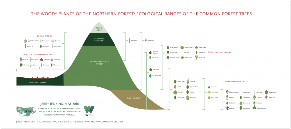 The Woody Plants of The Northern Forest: Ecological Ranges of the Common Forest Trees