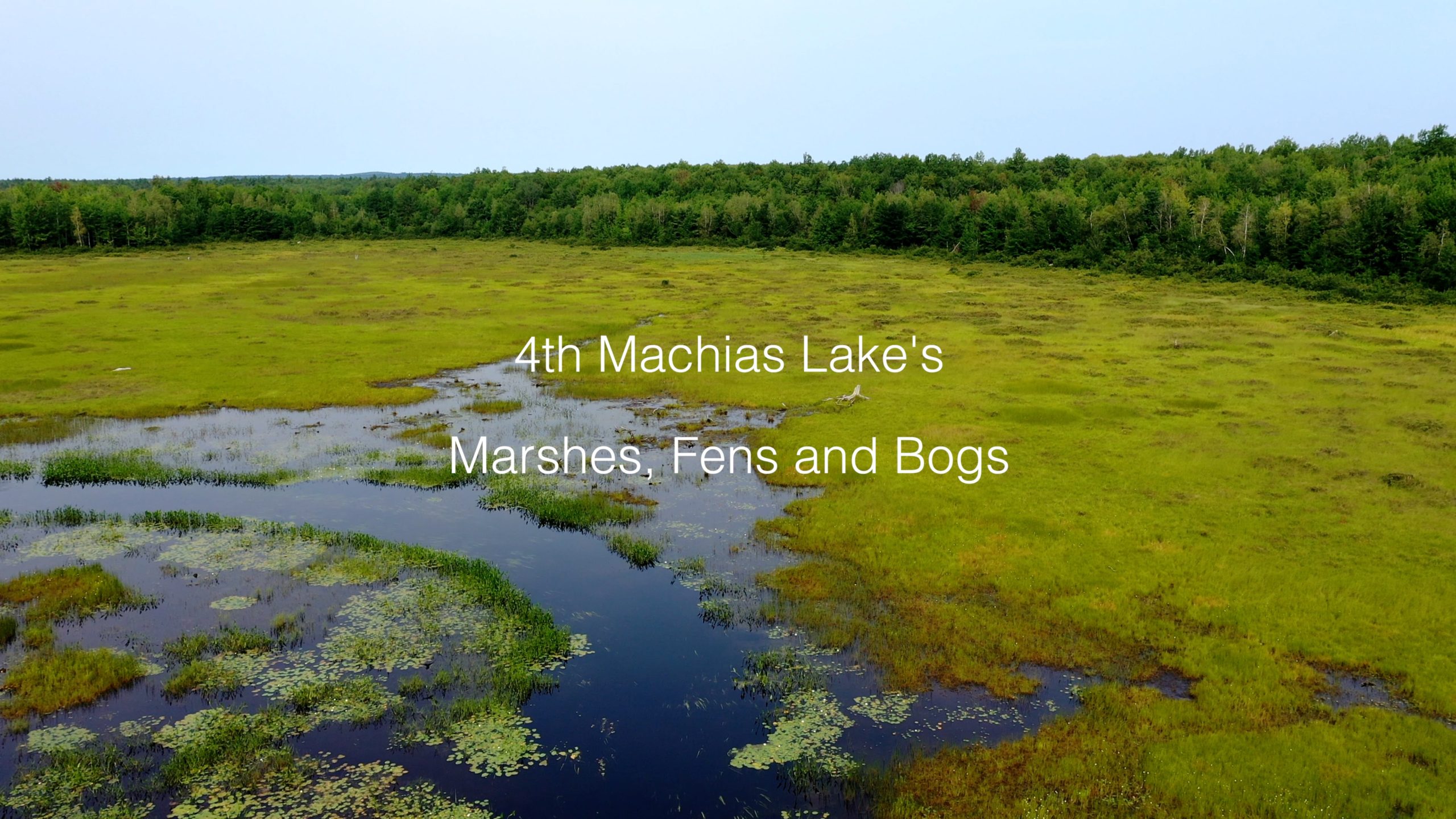 4th Machias Lake Northern Forest Atlas